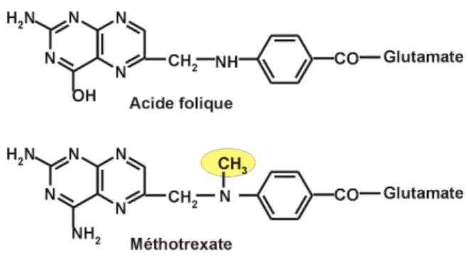 Figure 5 : Structure chimique du méthotrexate et de l’acide folique 