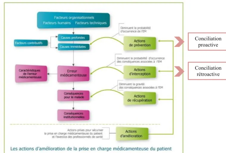 Figure 3 – Schéma des actions d’amélioration de la prise en charge médicamenteuse du patient  d’après la Revue des Erreurs liées aux médicaments et aux dispositifs médicaux – SFPC [13] 