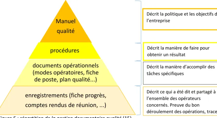 Figure 5 : répartition de la gestion documentaire qualité (15) 