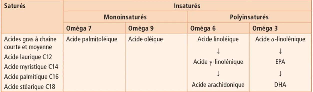 Tableau 3 : Principaux acides gras (35). 