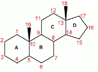 Figure 2 : schéma de substitution des stéroïdes à partir du noyau prégnane. 