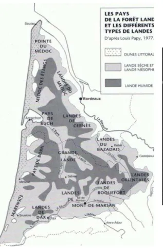 Figure 7 : Landes de Gascogne en 1977 