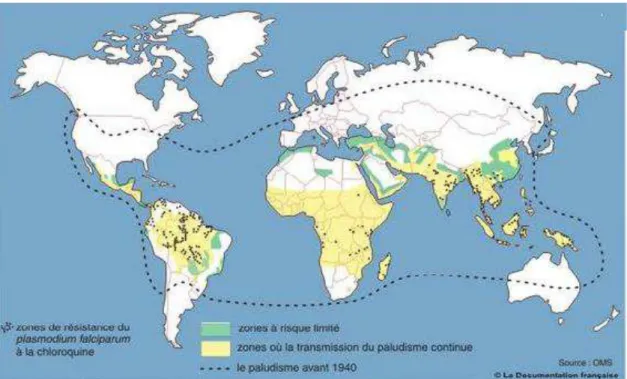 Figure 12: Géographie du paludisme avec toutes espèces en 2000 (38) 
