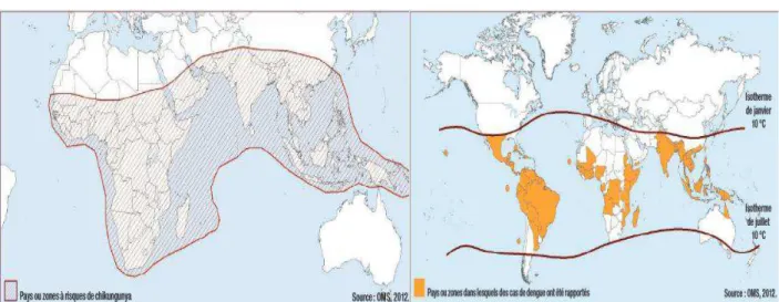 Figure 15 : Zone à risque chikungunya (à gauche), dengue (à droite)(45) 