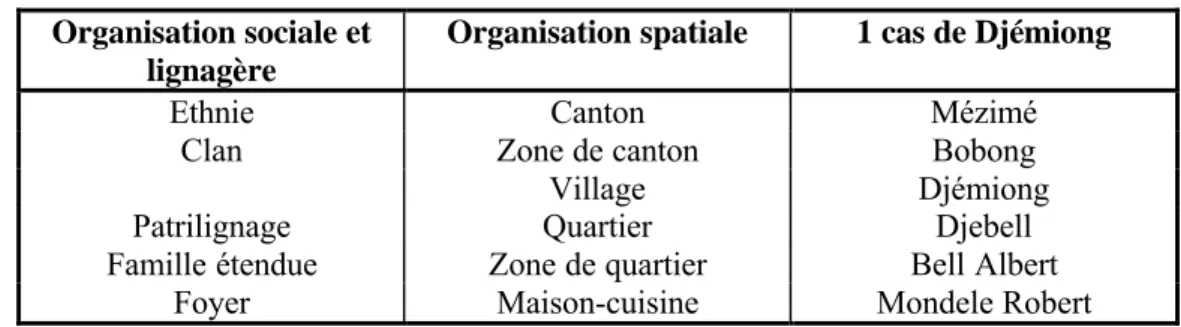 Tableau 9 : Structure sociale et spatiale actuelle Organisation sociale et