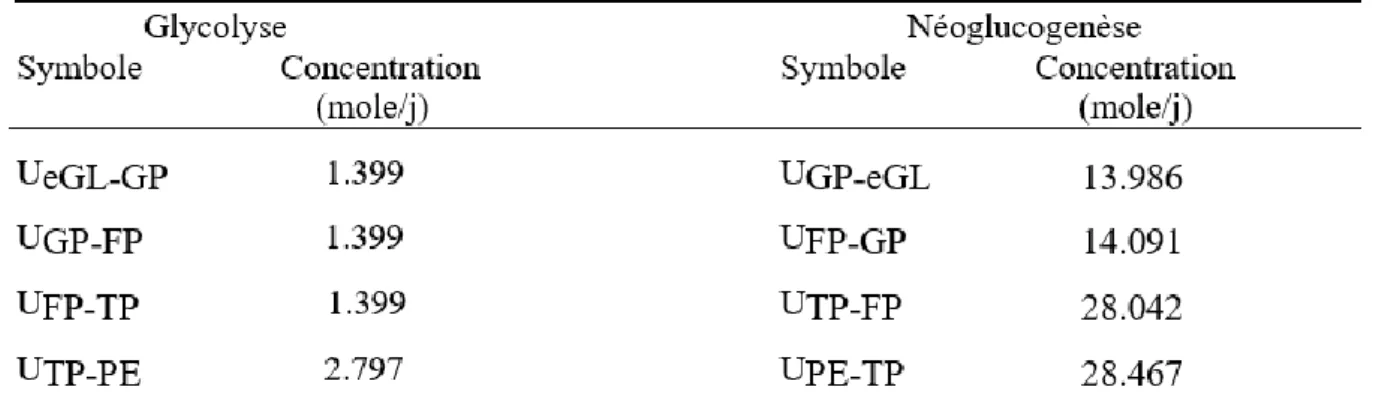 Tableau 4 :  Concentrations à l’équilibre des flux de la néoglucogenèse et de la glycolyse  dans Freetly et al (1993)