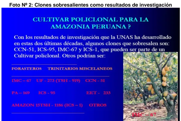 Foto Nº 2: Clones sobresalientes como resultados de investigación 