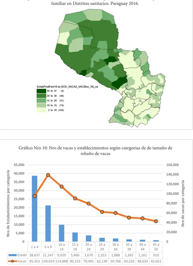 Gráfico Nro 10: Nro de vacas  y establecimientos según  categorias de de tamaño de rebaño de vacas