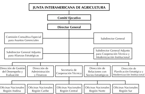 Figura 1: La Nueva Estructura del IICA