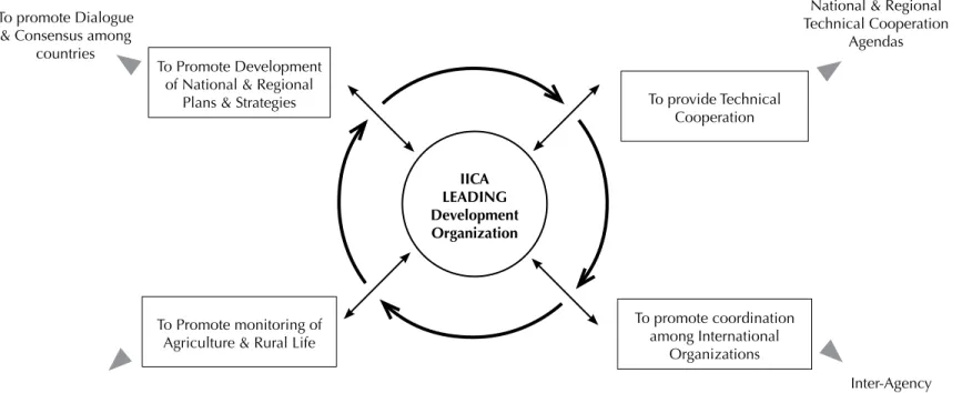Figure 5:  IICA’s Leadership Role in the Implementation of the AGRO 2003-2015 Plan of Action