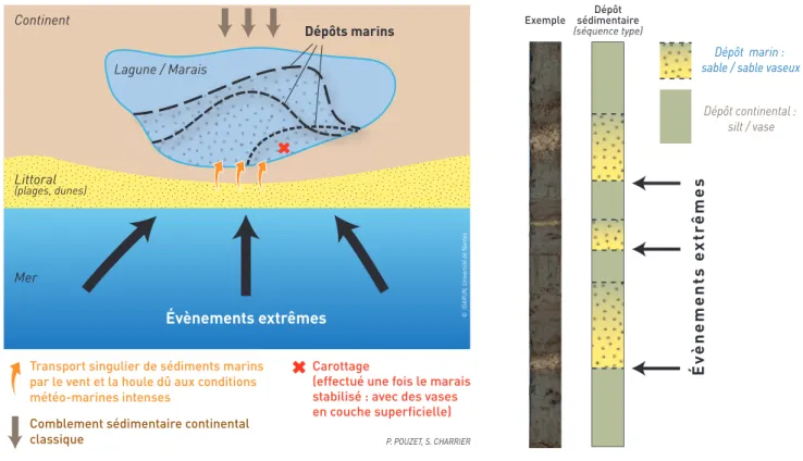 Figure 1 - Présentation des deux scénarios de dépôts marins dans un marais côtier durant un évènement extrême