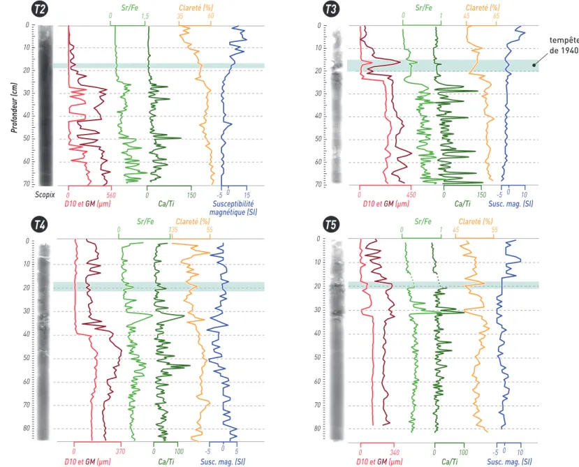 Figure 5 - Présentation des résultats sédimentologiques des quatre carottes prélevées aux Traicts du Croisic, avec la tempête de 1940 en bleu clair