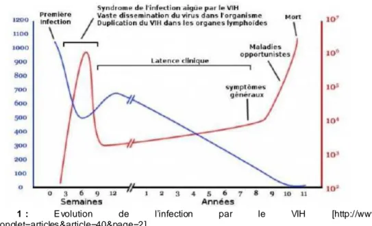 Graphique  1 :  Evolution  de  l’infection  par  le  VIH  [http://www.techno- [http://www.techno-science.net/?onglet=articles&amp;article=40&amp;page=2] 