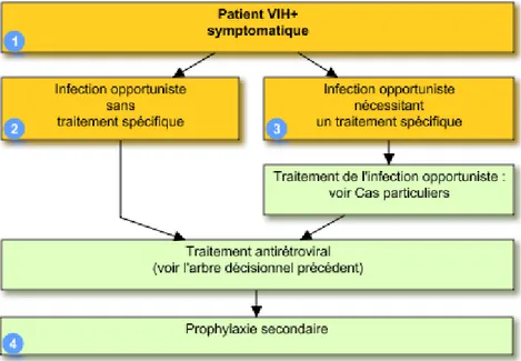 Figure 7 : Arbre décisionnel de traitement pour les patients  VIH+/symptomatique [16]