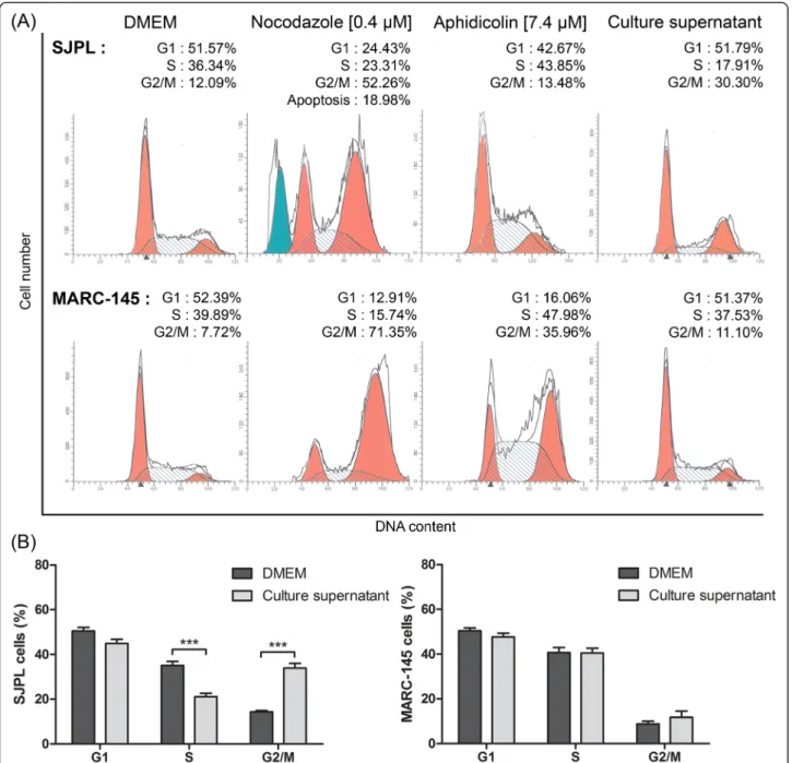 Fig. 2 App ΔapxICΔapxIIC culture supernatant blocks SJPL cell cycle in G2/M-phase but not MARC-145 cell cycle