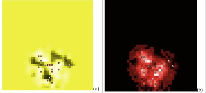 Figure 2 : Valeurs positionnelles (a) et prix (b), correspondant aux niveaux abstrait et  concret, simulés par le modèle à partir du noyau de la Figure 1 dans une ville comportant 