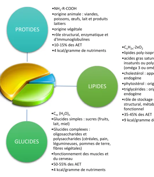 Figure 16: Description des macronutriments : protides, lipides, glucides  (34)(39)(40)(41)(42)(43)(44)(45) 