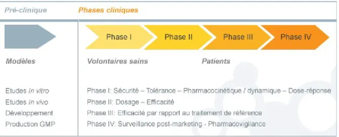 Figure 4 : Les différentes phases des essais cliniques 14