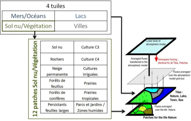 Figure 1.34 : Représentation schématique de la discrétisation de la surface en quatre tuiles dans SURFEX (d’après Masson  et al., 2013) 