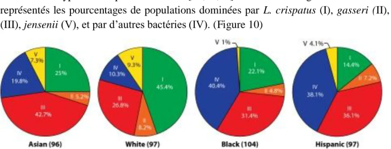 Figure 10 : Espèces bactériennes dominantes dans les microbiotes humains[21] 