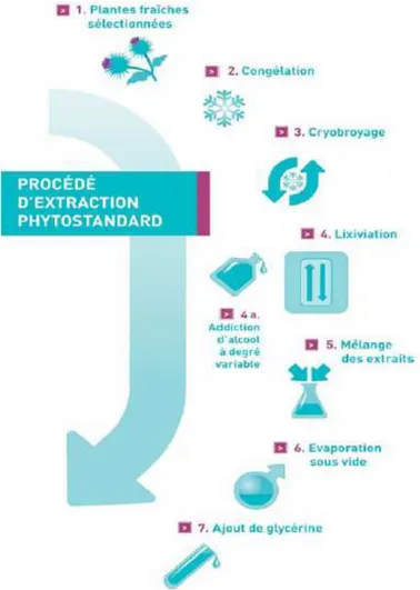 Figure 1 : Différentes étapes du procédé d’extraction phytostandard (17) 