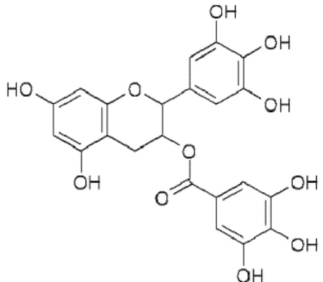Figure 9 : Epigallocatéchine-3-gallate (EGCG) (198) 
