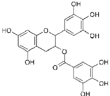 Figure 9 : Epigallocatéchine-3-gallate (EGCG) (198) 