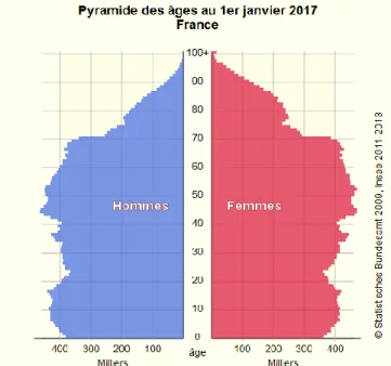 Tableau 1 : Répartition de la population par sexe et groupe d’âge au 1 er  janvier 2017 selon  l’INSEE en France métropolitaine 