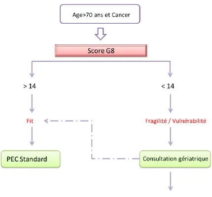 Figure 4 : Arbre décisionnel de prise en charge en fonction du score G8 