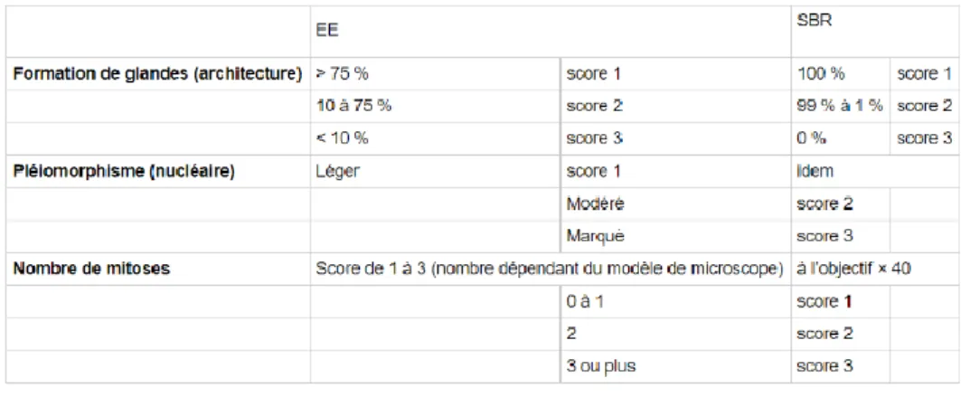 Tableau 1 : Comparaison des grades histopronostiques EE et SBR