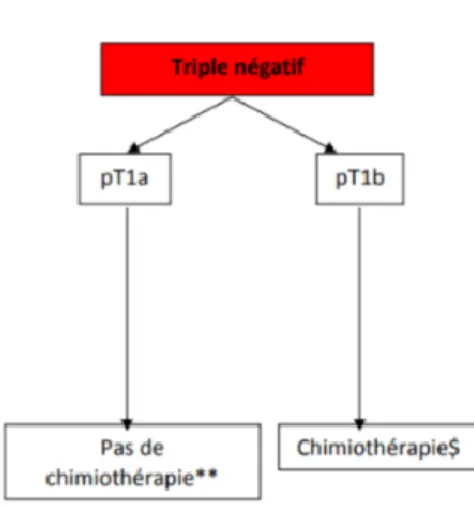 Figure 6 : Arbre décisionnel - Tumeurs HER2+ Figure 7 : Arbre décisionnel - Tumeur  Triples négatives