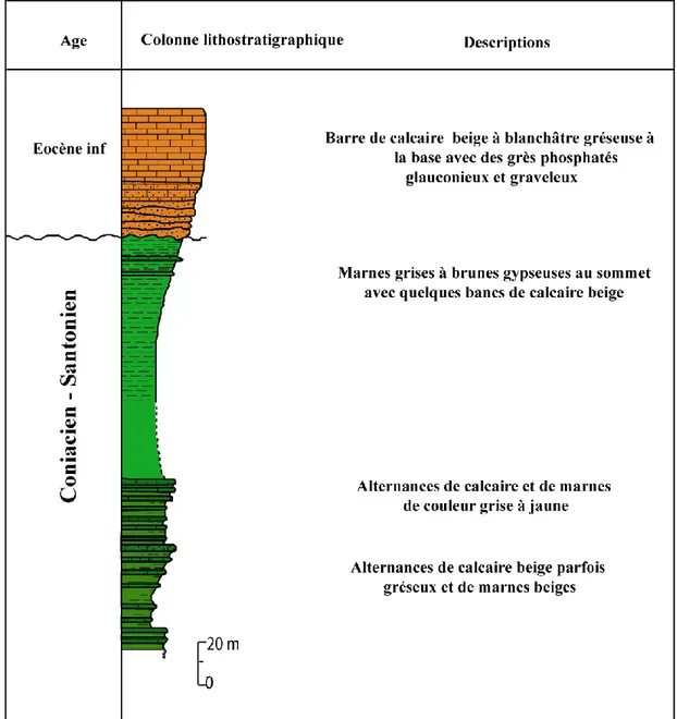 Figure 15 - Série lithostratigraphique d’âge crétacé supérieur – éocène au Jebel Sidi Saleh   (Boutib, 1998) 
