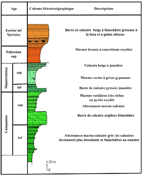 Figure 16 - Série lithostratigraphique du Sénonien supérieur – Eocène de Okbet l’Oussif (d’après  Boutib, 1998) 