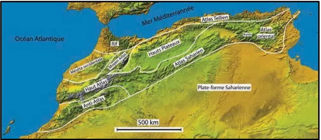 Figure 38 - Schéma des unités structurales de l’Atlas (Said, 2011)  b.3 - Risque sismique et tectonique actuelle  