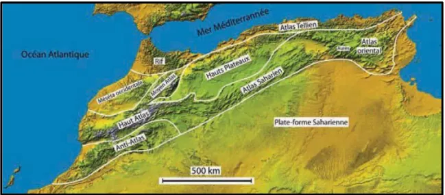 Figure 38 - Schéma des unités structurales de l’Atlas (Said, 2011)  b.3 - Risque sismique et tectonique actuelle  