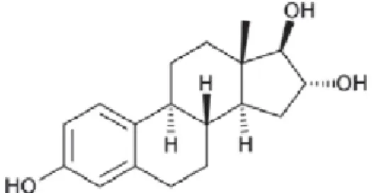 Figure 4 : Structure de l’estriol (E3) 