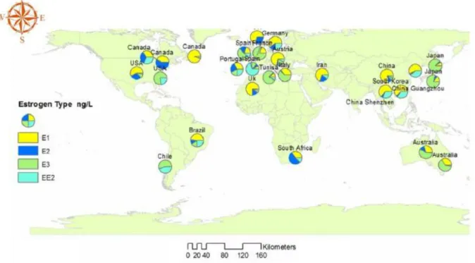 Figure 9 : Comparaison au niveau mondial de la répartition des différents types  d’œstrogènes au niveau des stations d’épuration (influent et effluent) (33) 