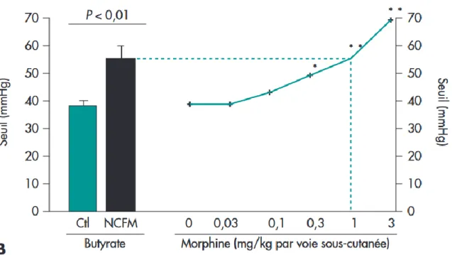Figure 2 : Comparaison des seuils douloureux à la distension chez des animaux ayant une  hypersensibilité viscérale à la distension, traités par L.Acidophilus NCFM, par placebo ou par  plusieurs doses de morphine administrée par voie sous cutanée (6)