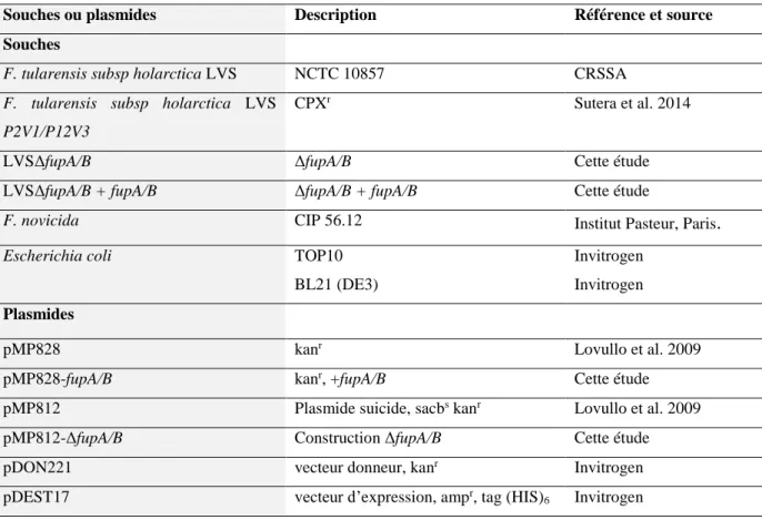 Tableau 5. Souches bactériennes et plasmides utilisés lors de l’étude 