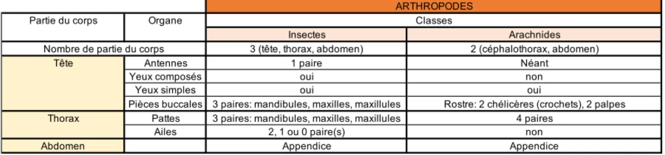 Tableau 4 : Comparaison morphologique insecte-arachnide – Source : Encyclopédie Larousse 
