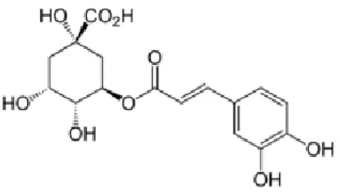 Figure 2.3 Formule développée de l’acide chlorogénique