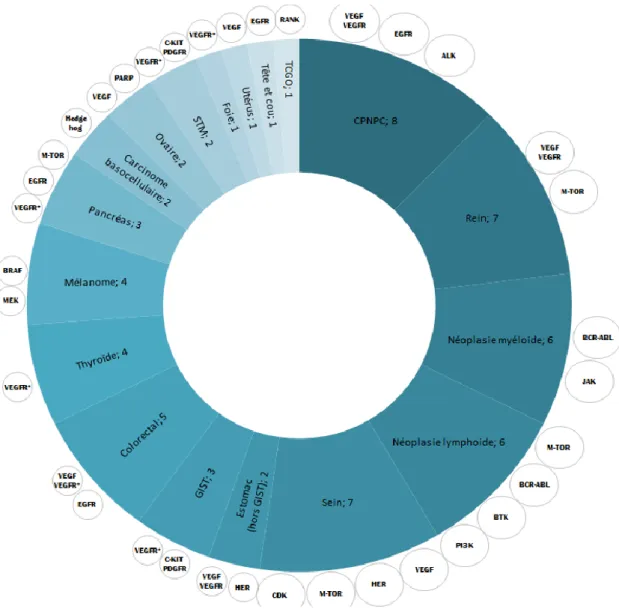 FIGURE 3 : Nombre de TC différentes ayant au moins une indication dans chaque localisation  tumorale