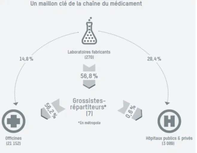Figure 13 : Circuit de distribution du médicament et volumes par canal