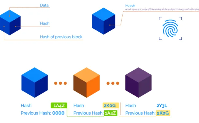 Figure 1 : Le Hash 