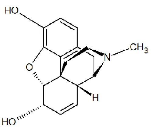 Figure 1 : Formule chimique développée de la morphine 