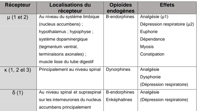 Tableau III : Les opioïdes endogènes et leurs effets en fonction du récepteur 