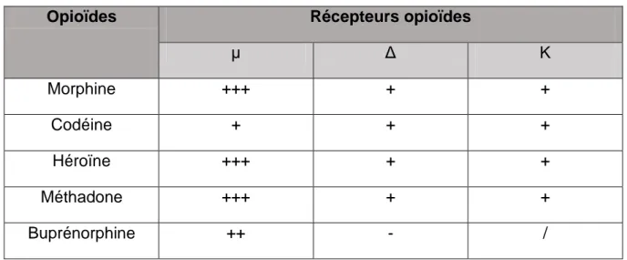 Tableau IV : Affinités des différents opioïdes exogènes aux récepteurs opioïdes 