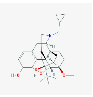 Figure 6 : Structure chimique de la buprénorphine 