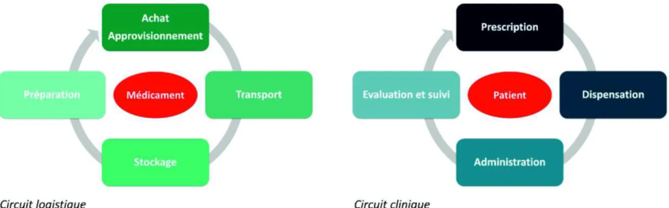 Figure 2 : circuits logistique et clinique du médicament 