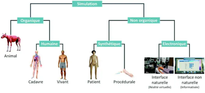 Figure 6 : les différentes techniques de simulation en santé, modifié d’après G. Chiniara (32) 